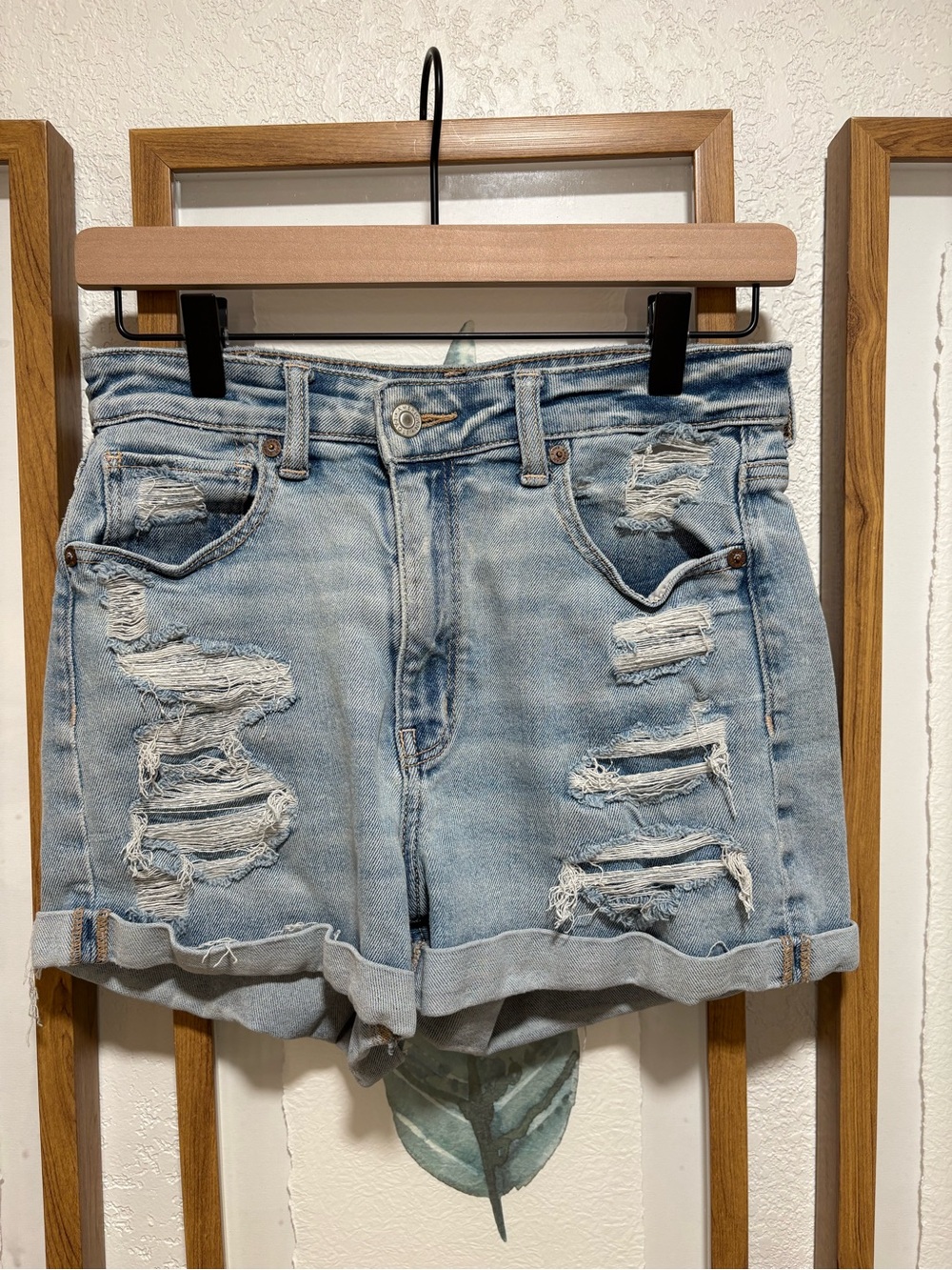 AE Denim Shorts